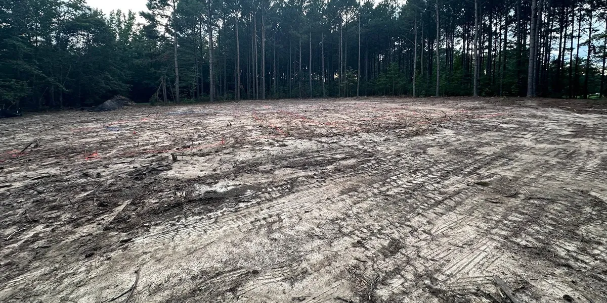 preparing your homesite